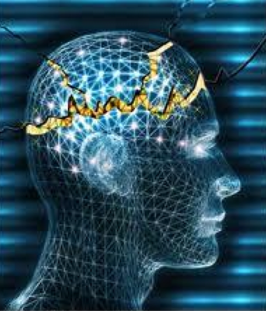 Động kinh toàn thể - Hình ảnh minh họa